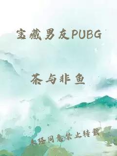 宝藏男友PUBG